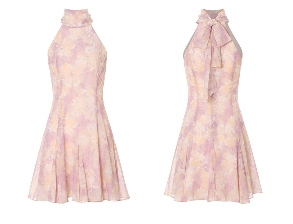 DR236291/Pre-order
