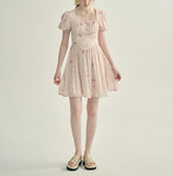 DR23787/Pre-order 2 colours