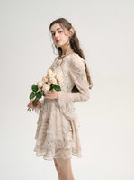 DR235586/Pre-order