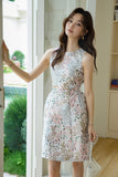 DR235637/Pre-order
