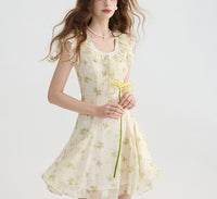 DR235093/Pre-order