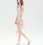 DR236183/Pre-order