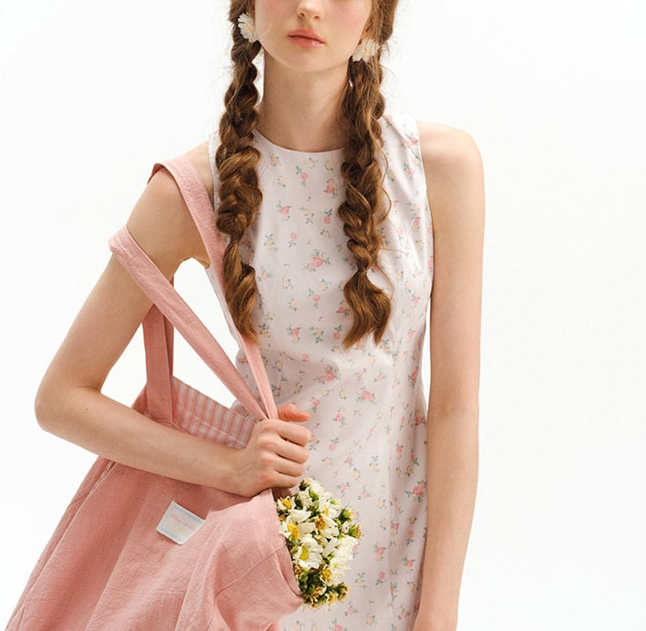 DR235641/Pre-order