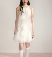 DR235109/Pre-order