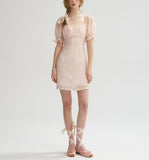 DR235642/Pre-order