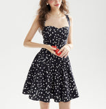 DR236230/Pre-order