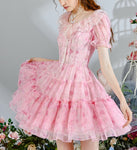 DR235111/Pre-order