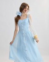 DR235599/Pre-order