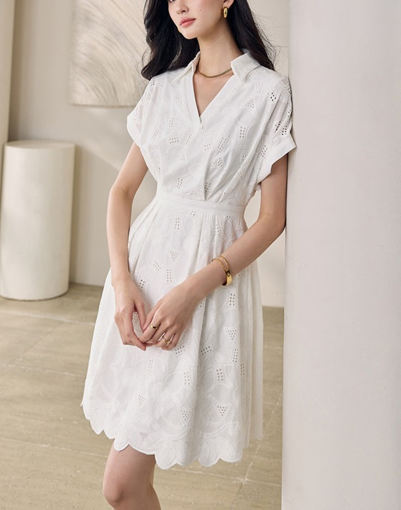 DR235163/Pre-order
