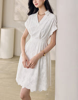 DR235163/Pre-order