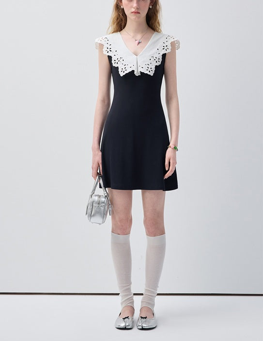 DR236144/Pre-order