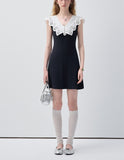 DR236144/Pre-order