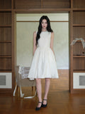 DR236286/Pre-order