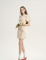 DR235627/Pre-order