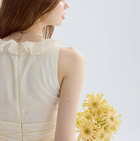 DR235251/Pre-order