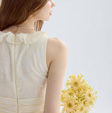 DR235251/Pre-order