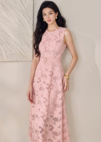 DR235560/Pre-order