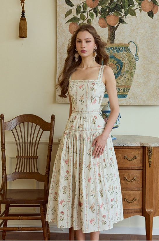 DR236142/Pre-order