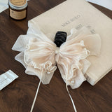 HA25243/Pre-order