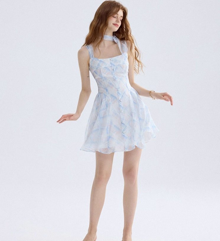 DR235570/Pre-order