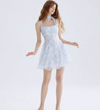 DR235570/Pre-order