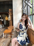 DR236240/Pre-order