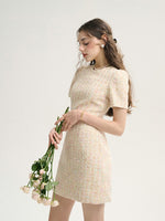 DR235627/Pre-order