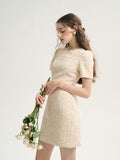 DR235627/Pre-order