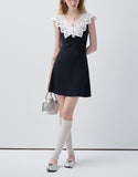 DR236144/Pre-order