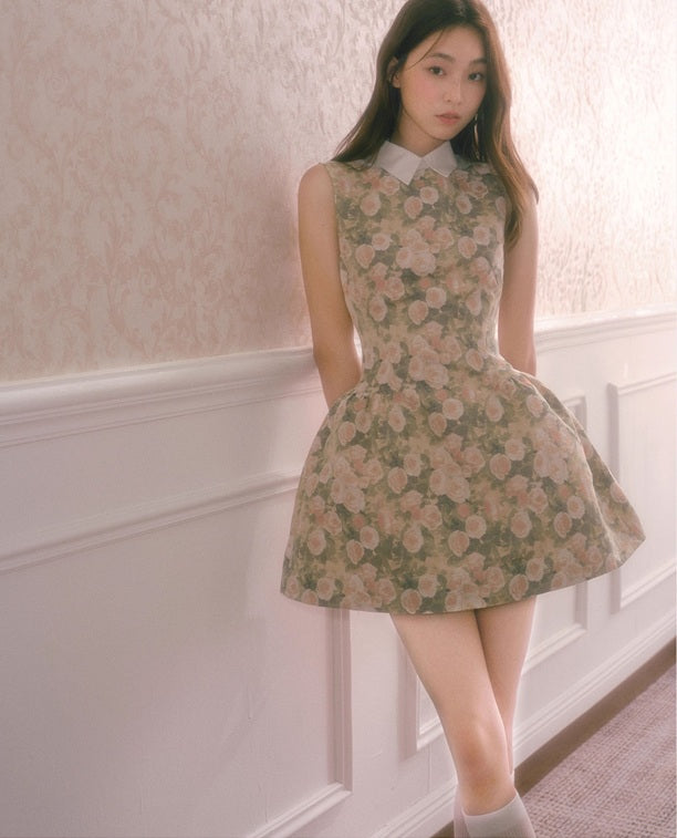 DR235597/Pre-order