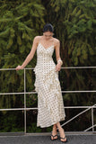 DR236238/Pre-order