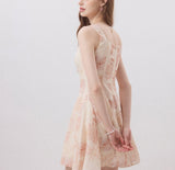 DR236111/Pre-order