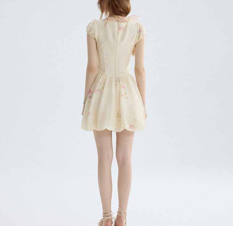 DR235217/Pre-order