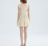DR235217/Pre-order