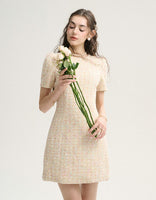 DR235627/Pre-order