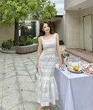 DR236101/Pre-order