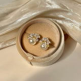 ER25286/Pre-order