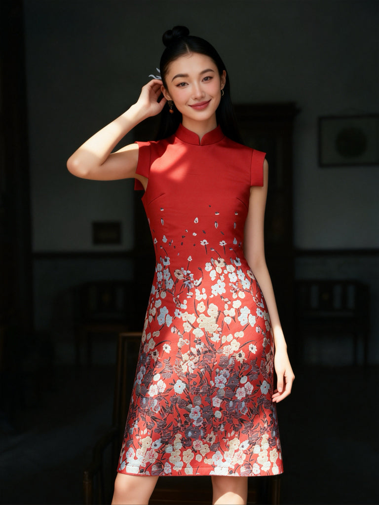 DR236125/Pre-order