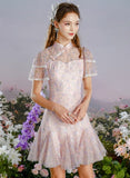 DR235228/Pre-order