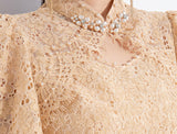 DR23434/Pre-order