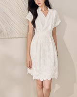 DR235163/Pre-order
