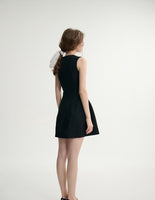 DR235568/Pre-order