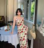 DR235247/Pre-order