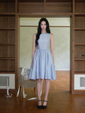 DR236286/Pre-order