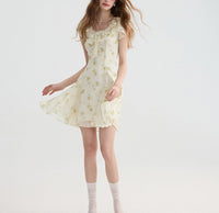 DR235093/Pre-order