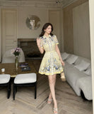 DR236132/Pre-order