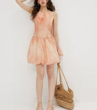 DR236222/Pre-order