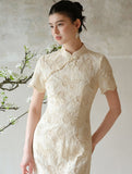 DR236122/Pre-order