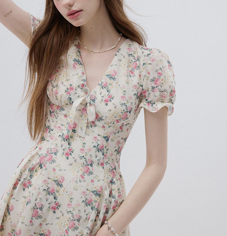 DR236088/Pre-order