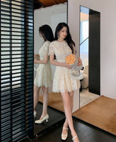 DR235620/Pre-order